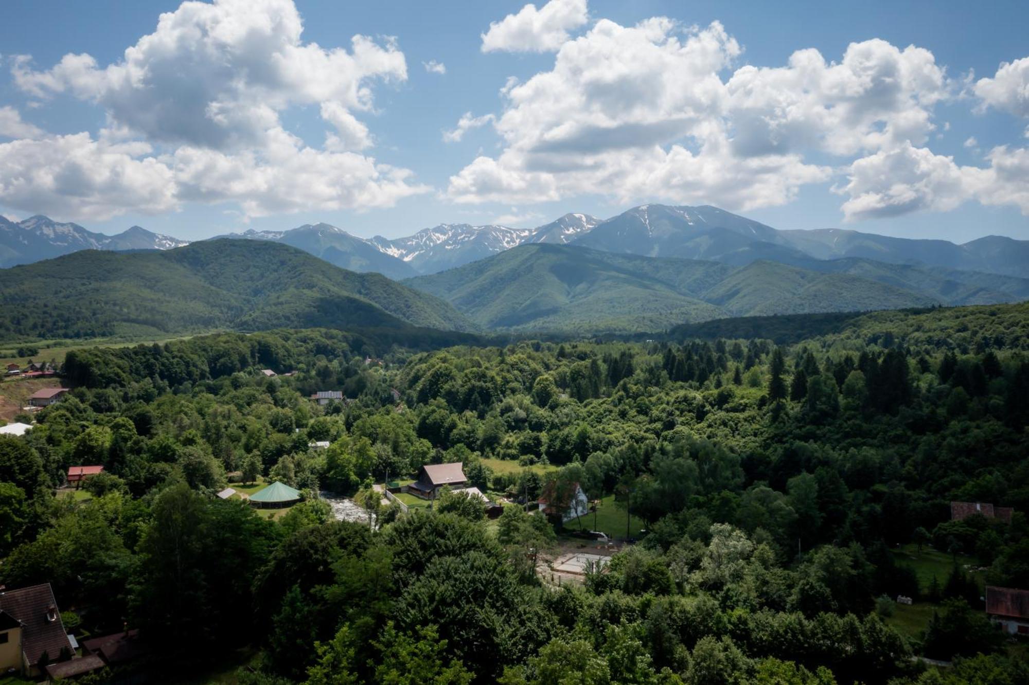 Evergreen Chalet Авриг Экстерьер фото